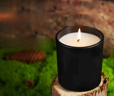 Main Character Energy 16 oz 100% Soy Candle